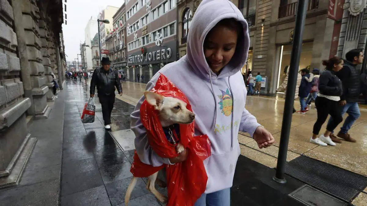 Será un frío fin de año habrá heladas y lluvias en CDMX y Edomex este fin de semana